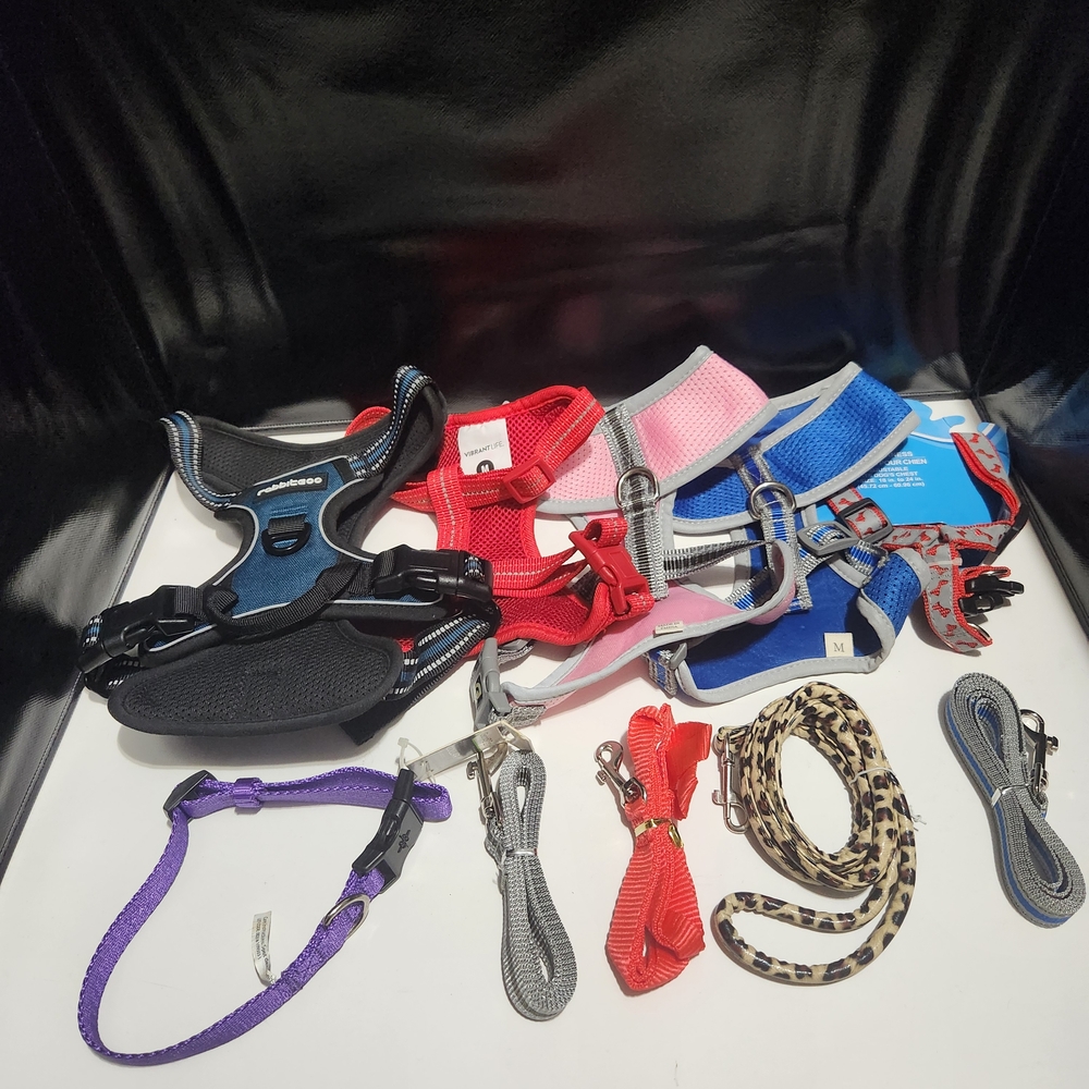 Assorted Pet Harness and Leash Set Bundle - Picture 2 of 7